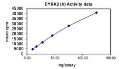 Eurofins DiscoverX DYRK2 Protein, Active 10 &mu;g | Buy Online | Eurofins DiscoverX | Fisher Scientific